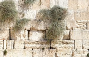 הכותל בארץ ישראל - בלוג יהודי ליטא